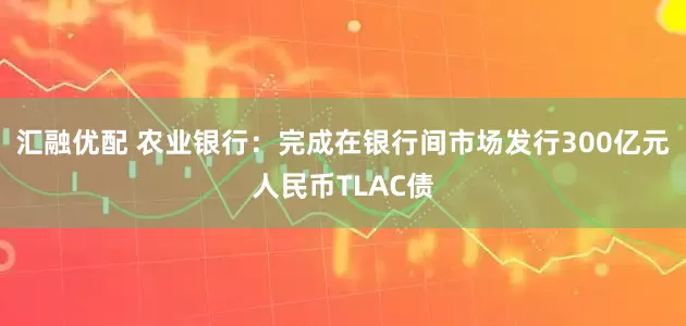 汇融优配 农业银行：完成在银行间市场发行300亿元人民币TLAC债