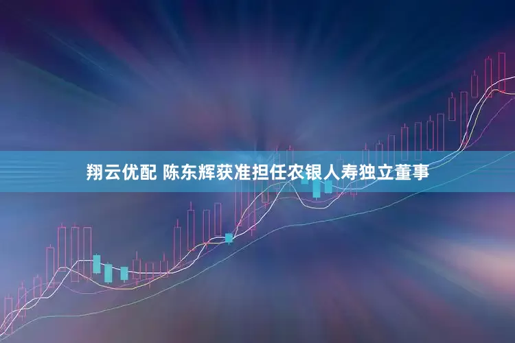 翔云优配 陈东辉获准担任农银人寿独立董事